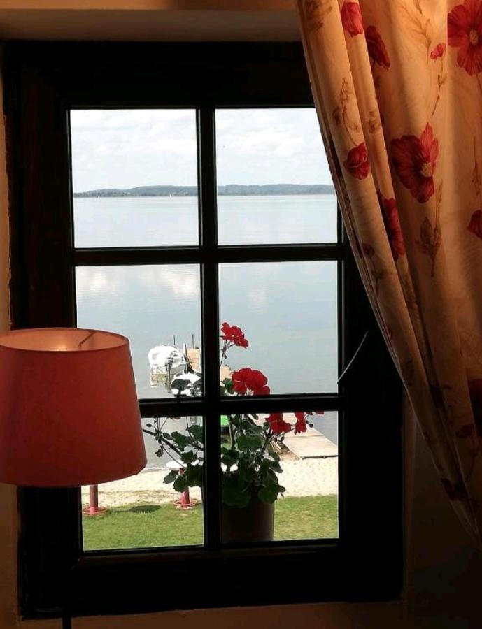 Wiatrak Nowe Guty Bed & Breakfast Exterior photo